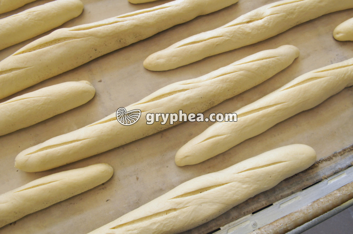 Fabrication du pain - Baguettes signées avant cuisson - gryphea.com